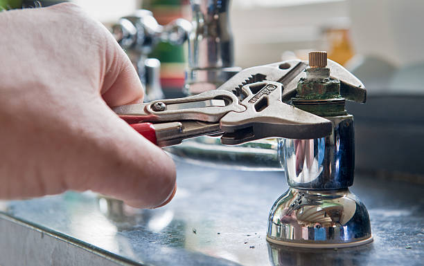 Best Mold removal after water damage  in Long Valley, NJ