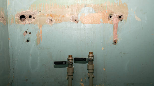 Best Residential water damage restoration  in Long Valley, NJ