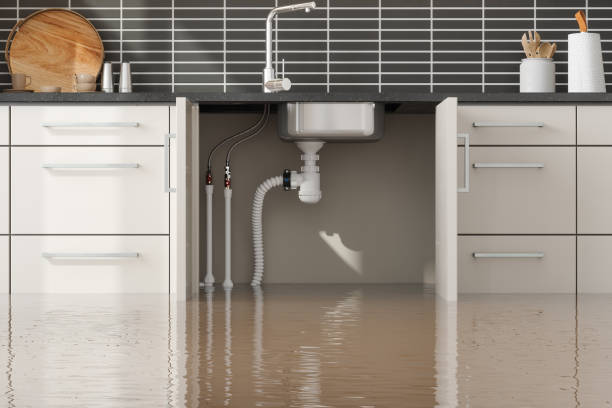 Best 24/7 water damage repair  in Long Valley, NJ